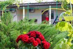 Грибівка база відпочинку Аліна