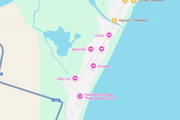 Карта Грибівка Vita