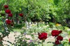 Курортне Приморська