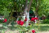 Курортне Приморська