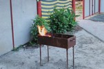 Роднічок Приморское