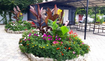 Приморське Ізмаїльський RANDEVU
